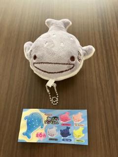 もちもちふれんず　ジンベエちゃんのサムネイル