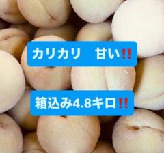 暁星 摘果桃 加工用 カリカリ 10kg 桃 山形県産 摘果桃 加工用 カリカリ‼️5kg‼️ - メルカリ