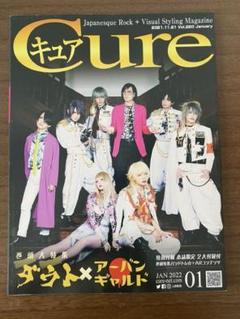 V系の雑誌 廃刊になったV系雑誌 | 文献書院ブンケンロックサイド