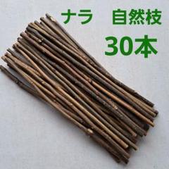 【クラフト素材】木の枝 天然木材 棒　30本（DIY、工作、ハンドメイド材)