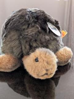 Steiff　シュタイフ　カメ　ソロ　20cm　タグ付き カメのソロ 20cm | ドイツ最高級テディベアのシュタイフ日本公式