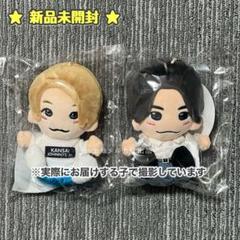 Johnny&#39;s - 【未使用に近い】ちびぬい♡Aぇ! group 正門良規 公式写真付♪ Aぇ！group ちびぬい 正門良規