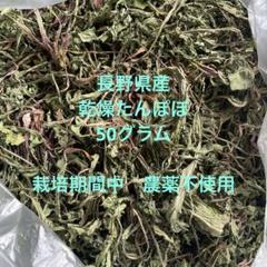 乾燥タンポポの葉　50グラム　葉のみ　農薬：栽培期間中不使用　乾燥たんぽぽのサムネイル