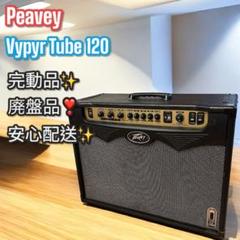 世界初の20W出力マルチアンプ Peavey Vypyr バイパー VIP-1 Peavey Vypyr VIP 1 Electric Guitar Amp Peavey Electric