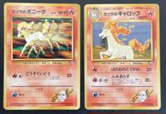 ギャロップ　ポニータ　旧裏　マーク有り 旧裏面 旧裏 ポケモンカード ポニータ ギャロップ 拡張シート