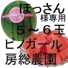 ５・６広島県・ほっさん・ピノガール 5・6広島県・ほっさん様専用・ピノガール - メルカリ