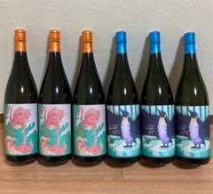 ★日本の職人技★ 計6本 新旧飲み比べセット フラミンゴオレンジ - 焼酎