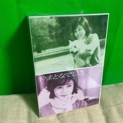 やまとなでしこ DVD-BOX