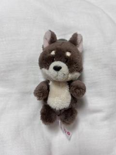 NICI チワワ キーホルダー ぬいぐるみ