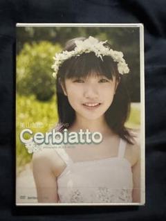 美山加恋／シュリンク未開封／ファーストDVD／Cerbiatto