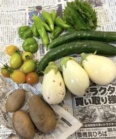 農薬不使用！野菜詰め合わせ ゆうパケットプラス常温配送 - メルカリ