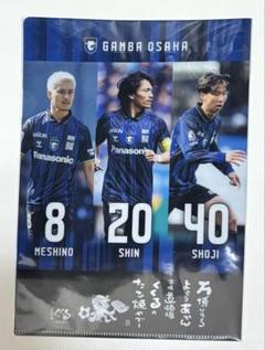 GAMBA OSAKA コラボクリアファイル VOL.11