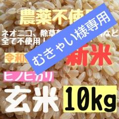 2025年最新】くず米 無農薬の人気アイテム - メルカリ