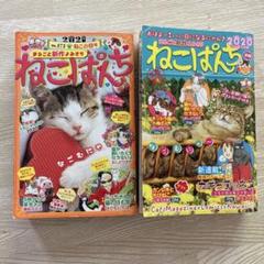 【中古】 ねこぱんち　木枯し号/少年画報社 2025年最新】Yahoo!オークション -ねこぱんち 少年画報社(その他