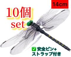 オニヤンマ科 標本 Ar tka075664.jpg