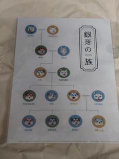 犬っこまつり　2019年　高橋よしひろ　サイン入りクリアファイル 銀牙伝説 高橋よしひろ クリアファイル - メルカリ