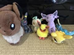 20%OFFセール中‼️ブラッキー4種ぬいぐるみセット大、中、小、激レア色違い 2025年最新】ブラッキー ぬいぐるみ 色違いの人気アイテム