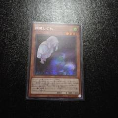 m99064252396_1.jpg?1704644686