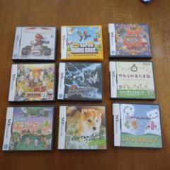 ニンテンドーDSソフトケースのみ×9個