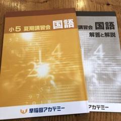 2025年最新】早稲アカ 夏期講習 小5の人気アイテム - メルカリ