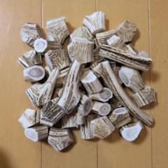 Ｙ１【箱びっしり端材詰め合わせ】北海道　エゾシカ　ハンドメード　鹿角　鹿の角