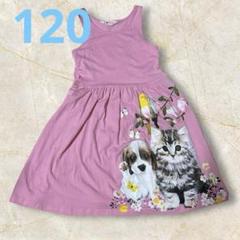 H&M 122/128 犬と猫のプリント ピンク ノースリーブワンピース