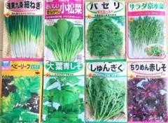 オススメ!手軽に栽培できる8種類セット✨野菜の種 家庭菜園にピッタリ 葉物野菜
