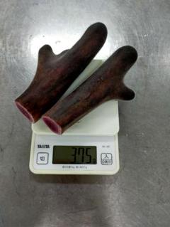 蝦夷鹿　鹿茸　袋角 蝦夷鹿 袋角 鹿茸 238g先部分 - メルカリ