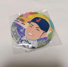 2025年最新】wbc 宮崎キャンプの人気アイテム - メルカリ