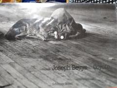 JOSEPH BEUYS COYOTE Caroline Tisdallコヨーテ c3c7d558013ddcb5b72828e50f11e5
