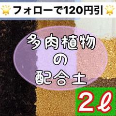 ⭐︎庭屋が作った多肉配合土⭐︎ 2ℓ 多肉植物 サボテン 挿木 種まき 魂根植物