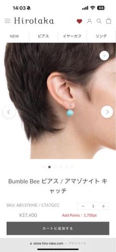 ヒロタカ　ピアス両耳　アマゾナイト ヒロタカ ピアス両耳 アマゾナイト