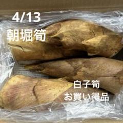 京都産　報恩寺筍　箱込み1.5キロ 京都報恩寺産たけのこ（筍）山菜の通販／丹波篠山食料品店