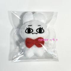 nct nctdream doll ぬいぐるみ ジェミン キーホルダー Amazon.co.jp: nct dream ジェミン ぬいぐるみ キーホルダー ①