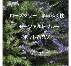 FLOWER様 ご確認用♡♡ - メルカリ
