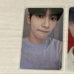 txt スビントレカ Sanctuary