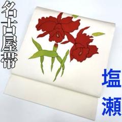 【着物と帯 時流】N25688◆正絹 九寸名古屋帯◆塩瀬 染帯 カトレア 着物と帯 時流】N25688◇正絹 九寸名古屋帯◇塩瀬 染帯 カトレア