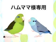 ★ハロウィンリース★2025★