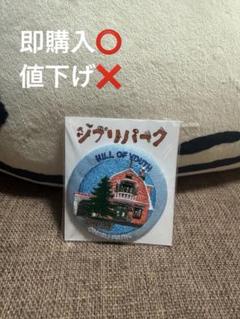 ジブリパーク　限定 刺繍 缶バッジ　耳をすませば　地球屋