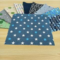 ★C147★ カットクロス/プリント生地/国産/25cm×25cm/10点