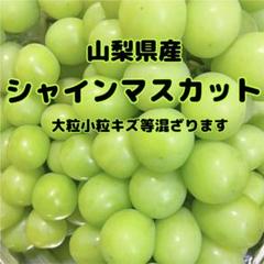 ベトナム新鮮ドリアン激安セット割2玉(訳あり品 - メルカリ