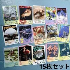 鳥羽水族館　トレカ　15枚セット　70周年記念 コレクションカード 15枚