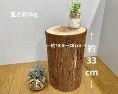 【ひのき切り株のサイドテーブル】丸太 椅子 スツール オブジェ インテリア 什器 ひのき切り株のサイドテーブル】丸太 椅子 スツール オブジェ