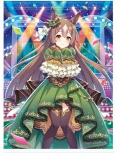 2025年最新】ウマ娘 タペストリー サトノダイヤモンドの人気