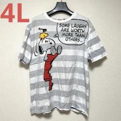 スヌーピー ストライプTシャツ　大きいサイズ　4L メンズ　半袖