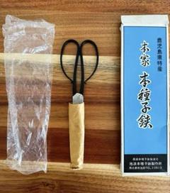 ☆【廃盤品】本家·本種子鋏 池浪刃物製作所 種子島特産 手打鋏