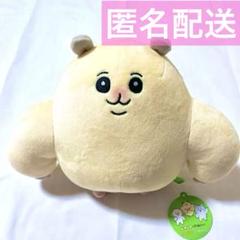 ムキムキのハムちゃん&ほがらかいぬねこ BIGぬいぐるみ ハムちゃん一点 Amazon.co.jp: ムキムキのハムちゃん＆ほがらかいぬねこ BIG