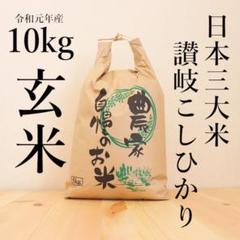 【こしひかり】お米 玄米 10kg 令和元年産