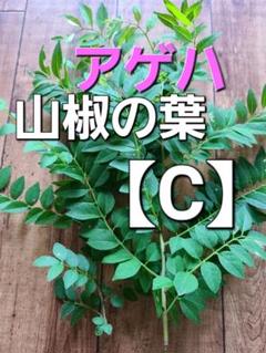 山椒の葉 600枚 新鮮 農薬不使用　天然物 山椒の葉 農薬不使用 50枚以上 - メルカリ