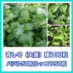 青しそ種100粒 スイートバジル種50粒 ルッコラ種50粒